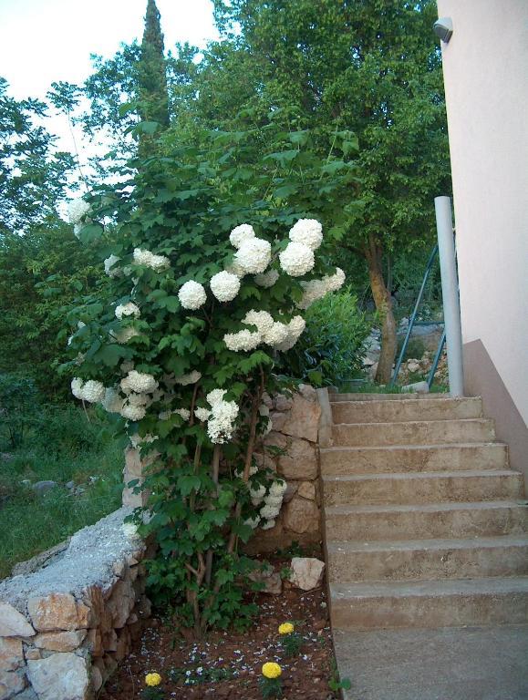 빌라 페트라 Međugorje 외부 사진